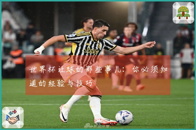 世界杯让球的那些事儿：你必须知道的经验与技巧