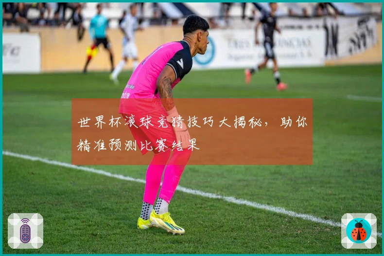世界杯滚球竞猜技巧大揭秘，助你精准预测比赛结果