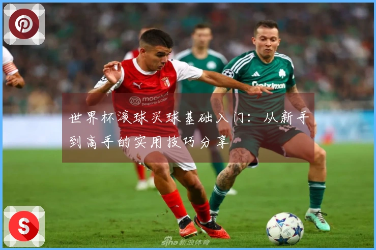 世界杯滚球买球基础入门：从新手到高手的实用技巧分享