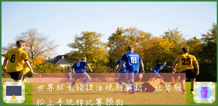 世界杯竞猜投注规则解析，让你轻松上手玩转比赛预测
