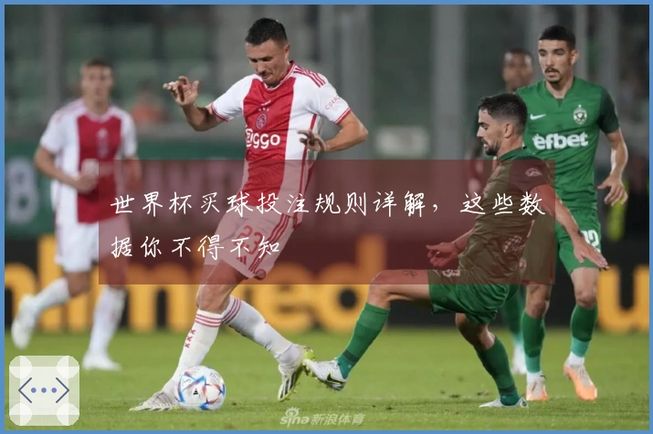 世界杯买球投注规则详解，这些数据你不得不知