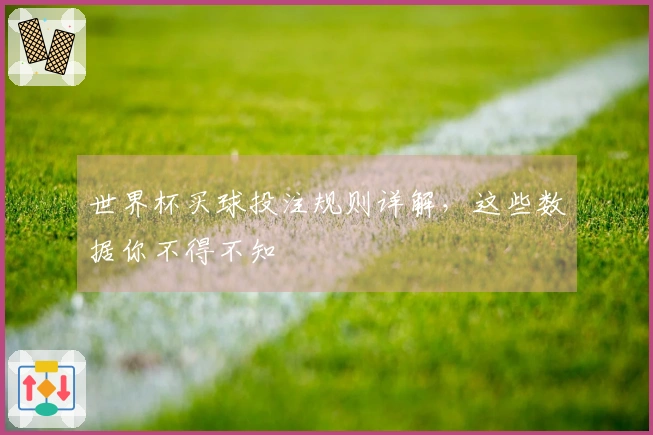 世界杯买球投注规则详解，这些数据你不得不知