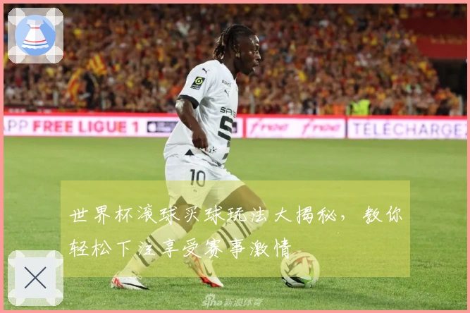 世界杯滚球买球玩法大揭秘，教你轻松下注享受赛事激情