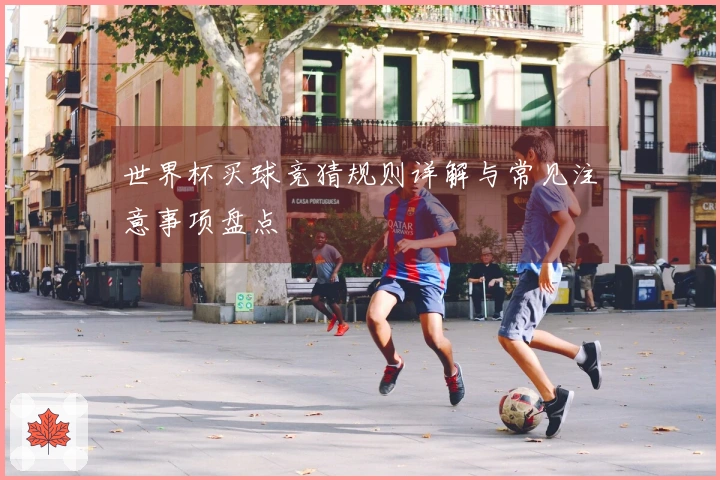 世界杯买球竞猜规则详解与常见注意事项盘点