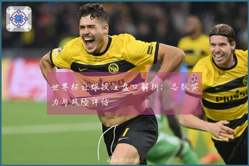 世界杯让球投注盘口解析：各队实力与风险评估