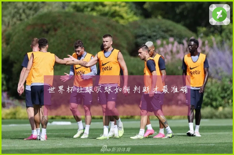 世界杯让球买球如何判断才最准确